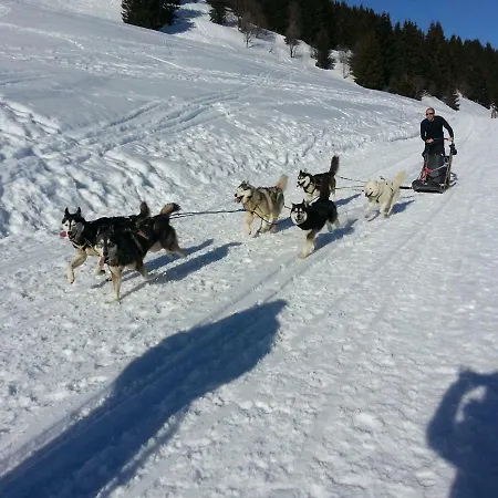 Le Marquis 2 Daire *